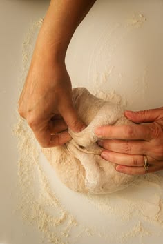 Close-up of baker's hands kneading slow-fermented sourdough dough on a wooden board, artisan small batch bakery